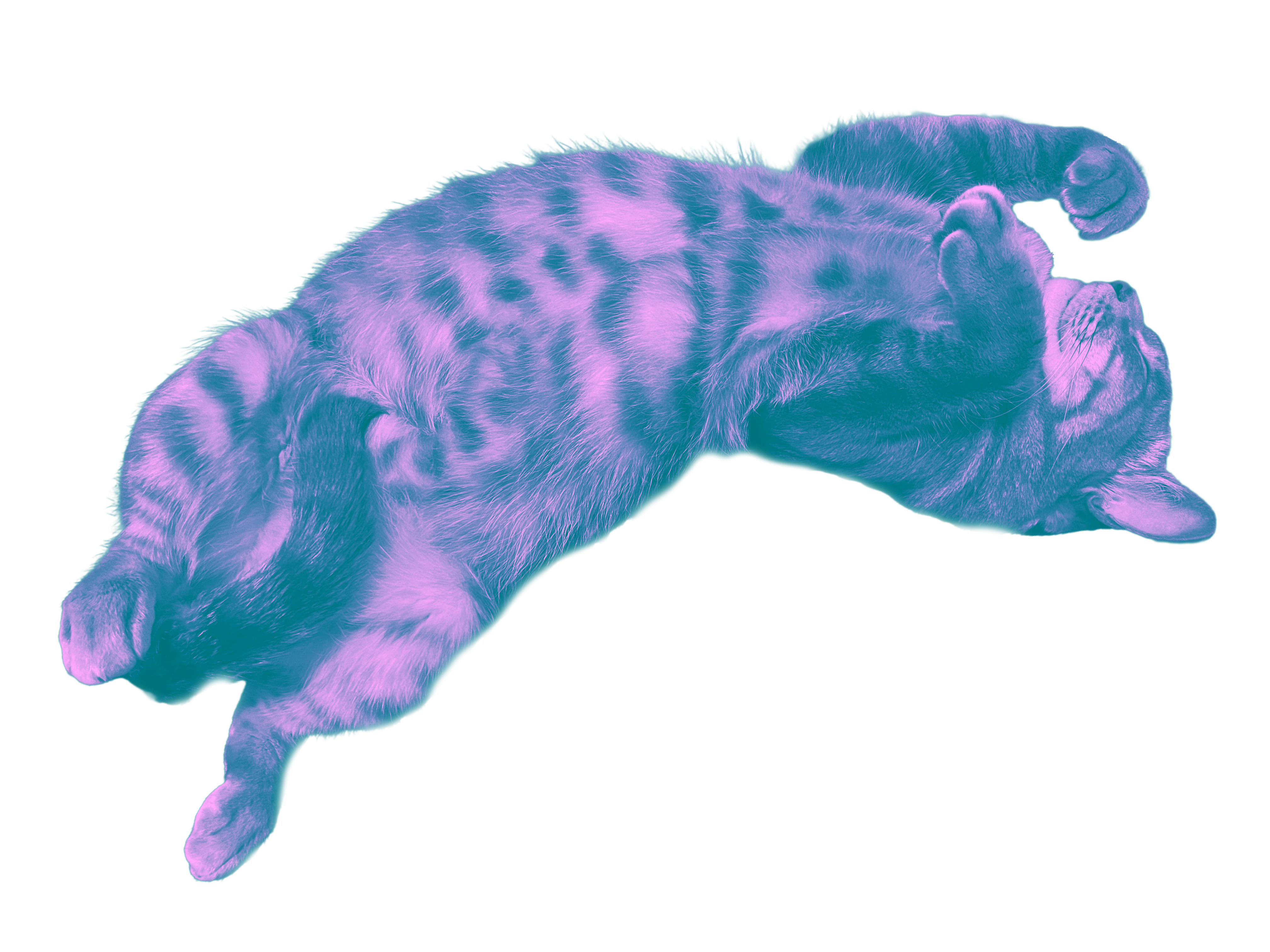 ごろりり