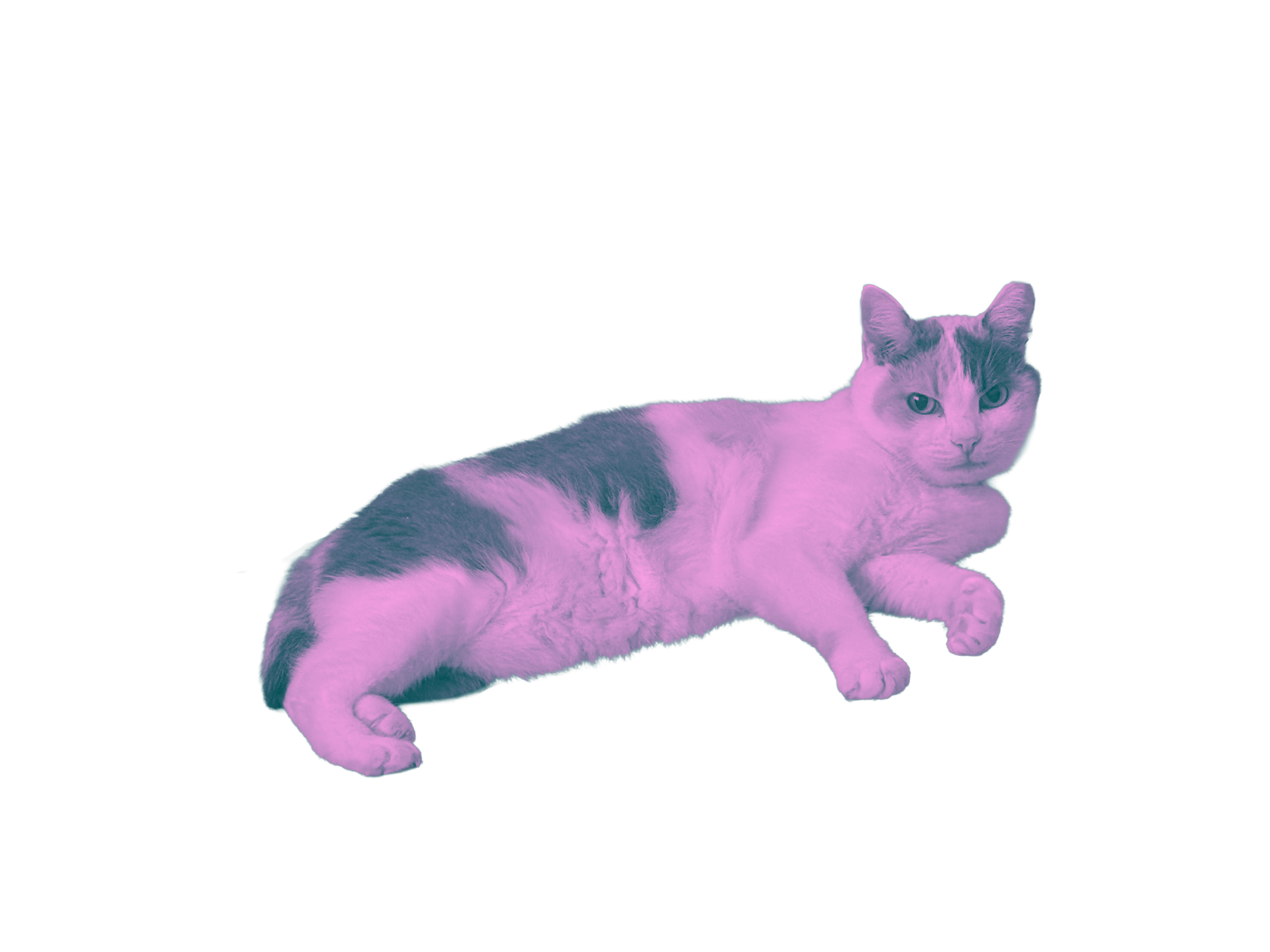 ごろるる